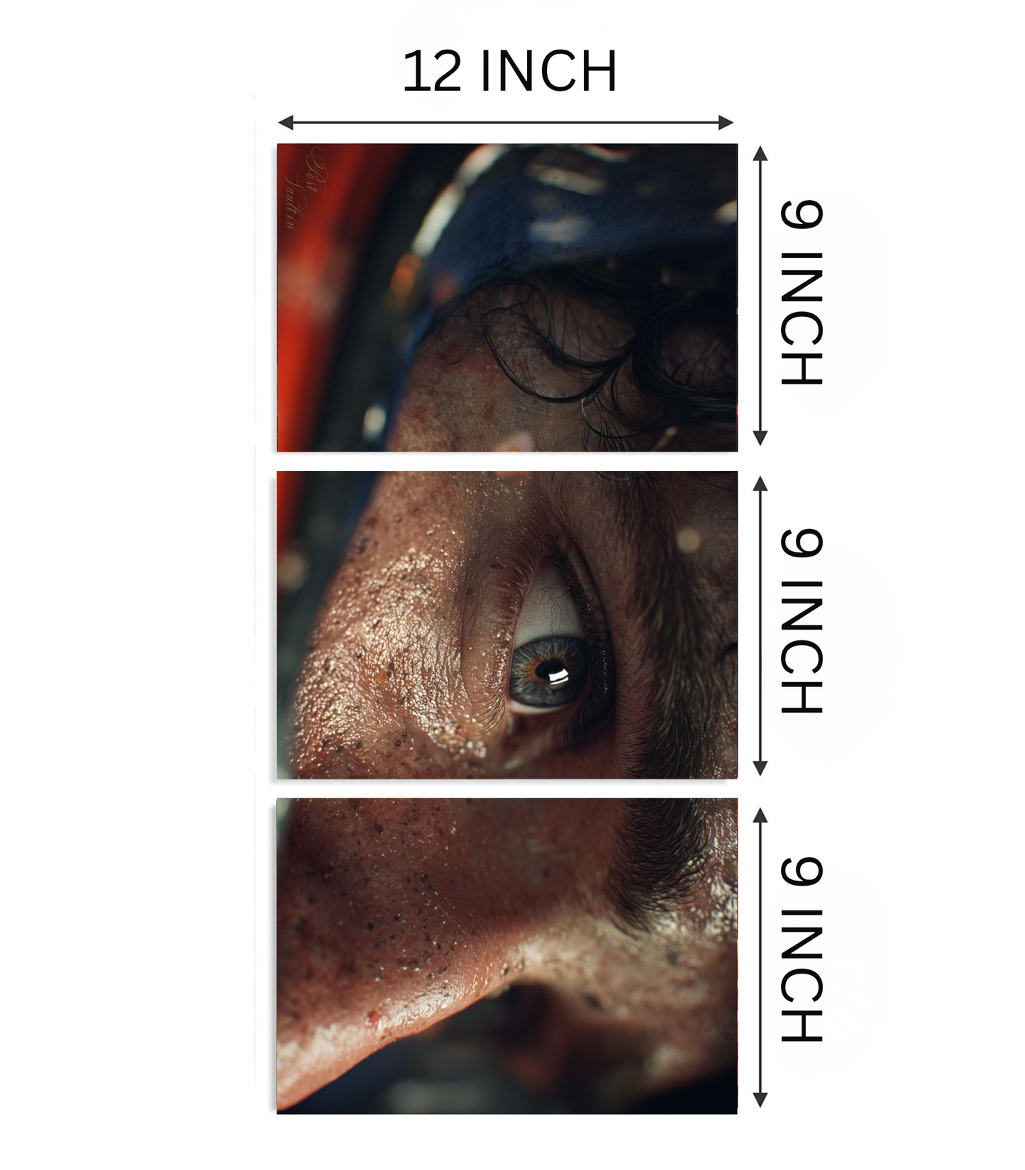 👁️ "Absolute Focus" Cinematic Macro 3-Panel Split Poster Set A4
