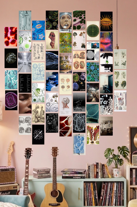 Biology Science A6 Wall Collage Kit - 50 Pcs 4x6 Inch Premium 300 GSM WCA Aesthetic Room Decor