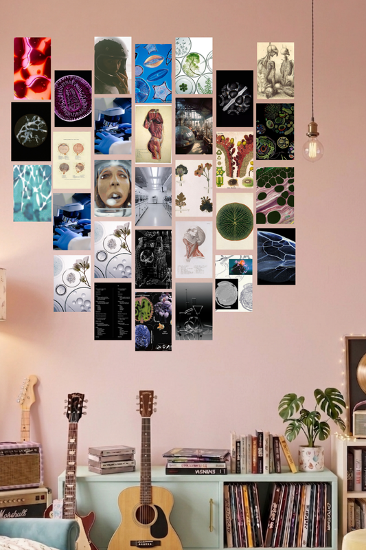 Biology Science A6 Wall Collage Kit - 30 Pcs 4x6 Inch Premium 300 GSM WCA Aesthetic Room Decor